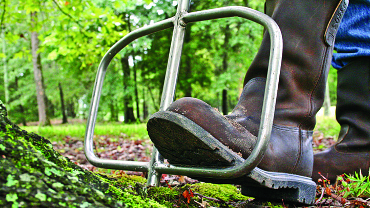 tree growth regulator application performance via probe