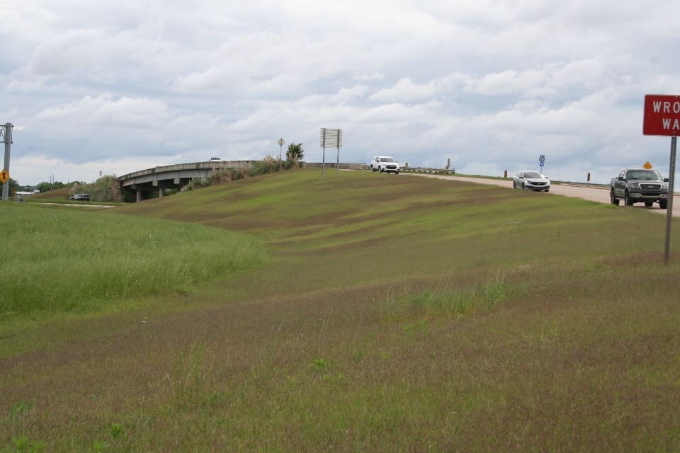 Managed overpass roadside turf intersecting with unmanaged interstate roadside turf.