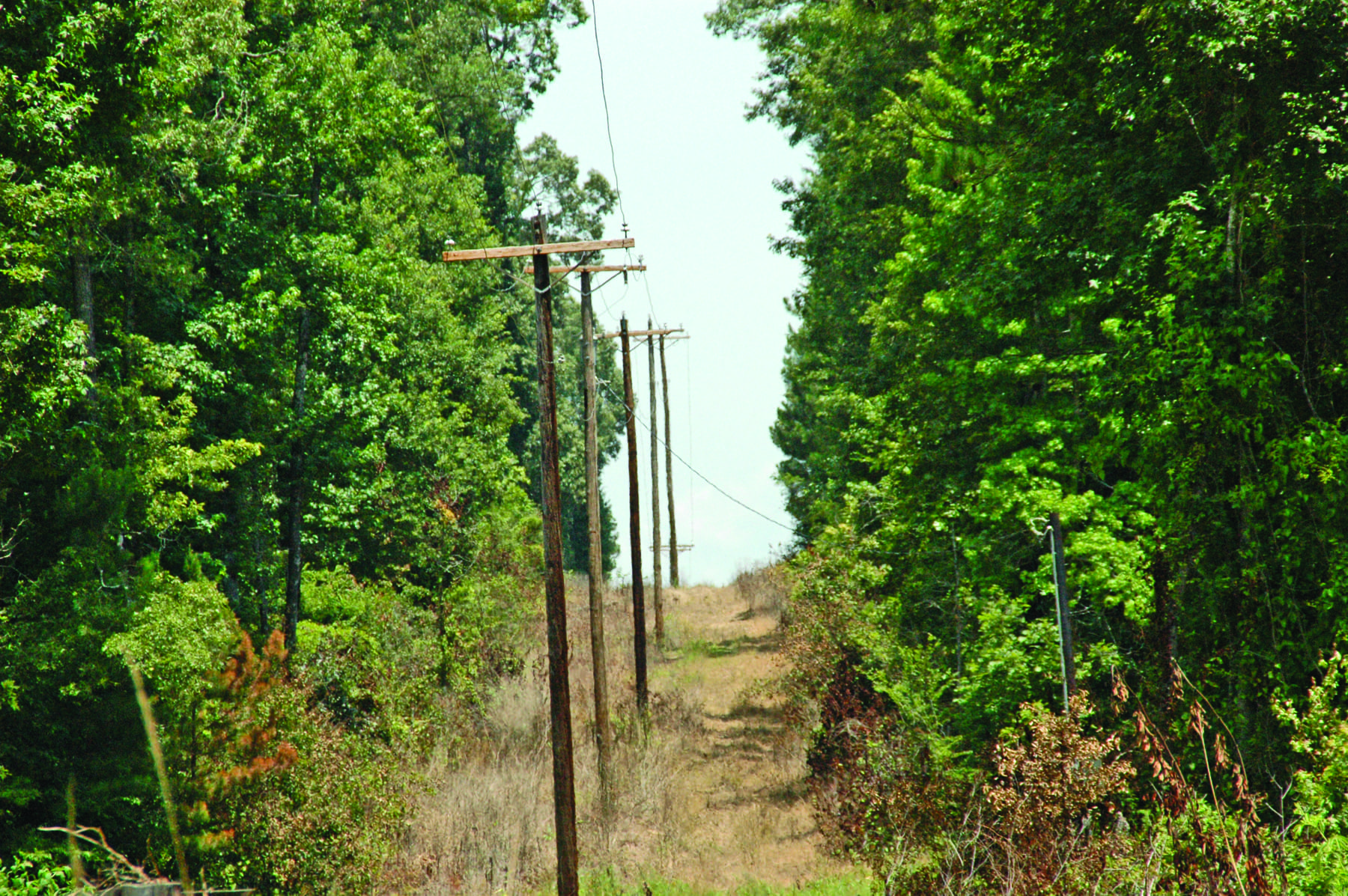 Clean distribution right-of-way